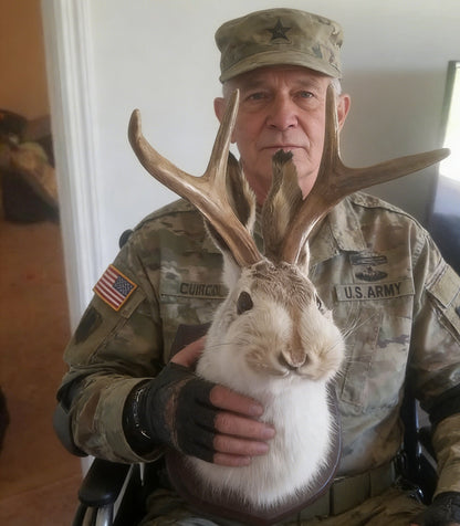 Jackalope Wall Decor-Handmade decorative Arts